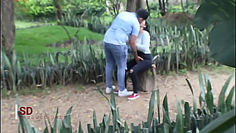 A Voyeur'S Delight: Spying On A Couple In A Public Park