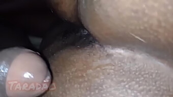 Hairy Couple Enjoys Deepthroat And Ass Play