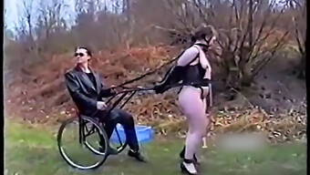 Ponygirls Trainen Voor Bdsm