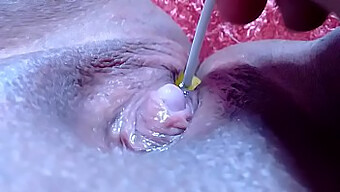 Mouillé Et Sauvage: Clitoris Et Passage De Sucette Dans Le Porno Brésilien