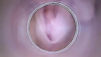 A Slender European Girl'S Dry Vagina And Cervix Are On Display