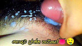 Sri Lankan (Sinhala) Pov Pussy Fuck With Cumshot Finish