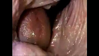 Inside Camera Footage Of A Vagina And Semen