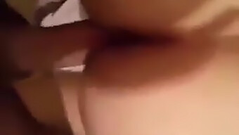 Una Amateur Árabe Disfruta De Una Gran Polla En Un Video Casero