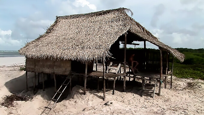 Zwei Paare Betreiben Oralsex Und Analsex In Einem Wilden Strandhaus