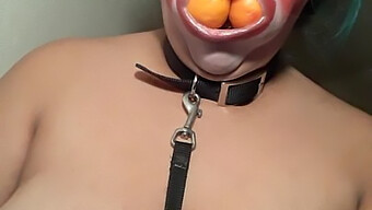 حلمات فتاة سمينة ترتد في Bdsm